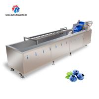 Equipamento de lavagem da bolha da máquina de lavar das frutas e legumes 2000KG/H