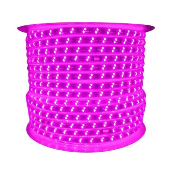 110V / 220V LED Strip Light 100m/roll With Connector Customization 8mm 10mm Etc PCB Width