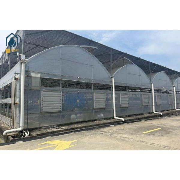 Durable Multi Span Greenhouse UV Resistant Polyethylene Film Greenhouses For Vegetables And Herbs