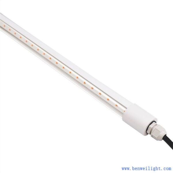 Iluminação do aviário Sem radiação UV ou IR, Triac ou 0-10V Dimmable IP65/IP67 impermeável