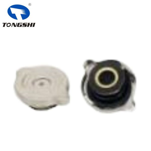 BENZ E321 Radiator Overflow Cap 1245000406 Temperature Resistance Stable