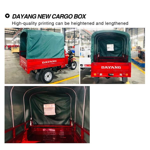 Cargo 250cc Powerful Durable Tricycle Petrol Tricycle with Cabin