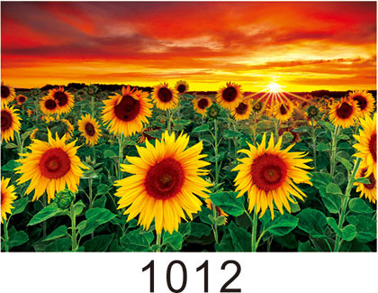 Environmentally Friendly 3d Lenticular Photo / Custom Lenticular Printing