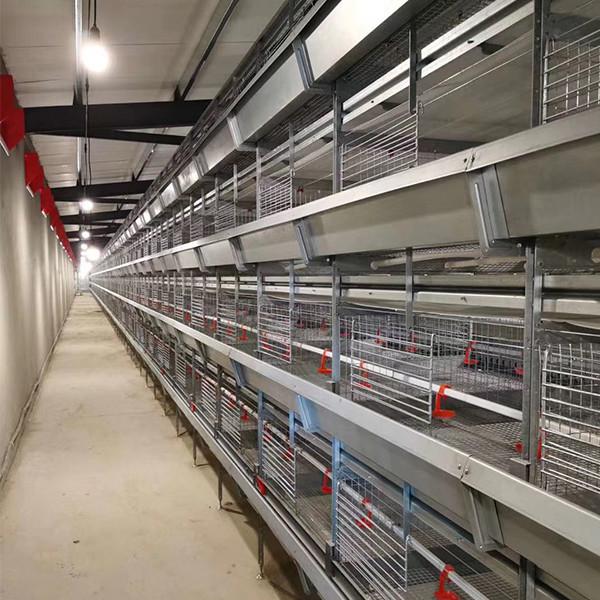 Top Quality H Frame Brooding Chicken Cage Pullet Cage With EU standard