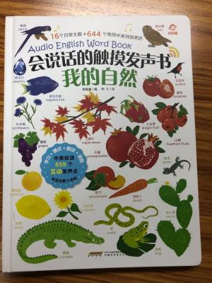 83 диктор книг 29*7mm детей ключей WCA 75DB аудио