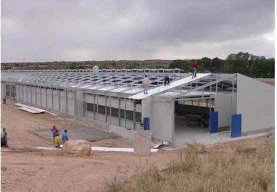 Fire Proof Stable Pre Engineered Buildings , H Beams Steel Frame Shed Easy To Install