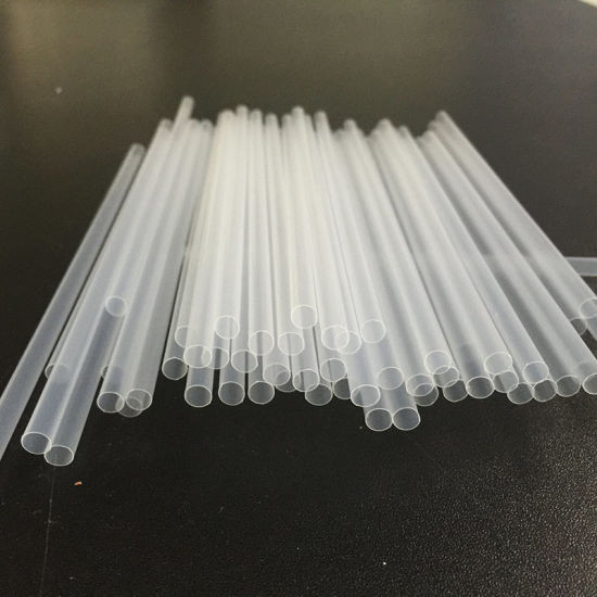 Everyday Plant Based Straws 100% Biodegradable and Compostable for Sustainable Living