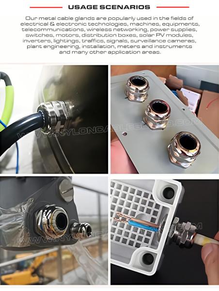 IP68 Watertight Cable Gland BSP1/2 (Ø 10-14mm) Stainless Steel AISI 304, AISI 316 or AISI 316L for Electrical Box