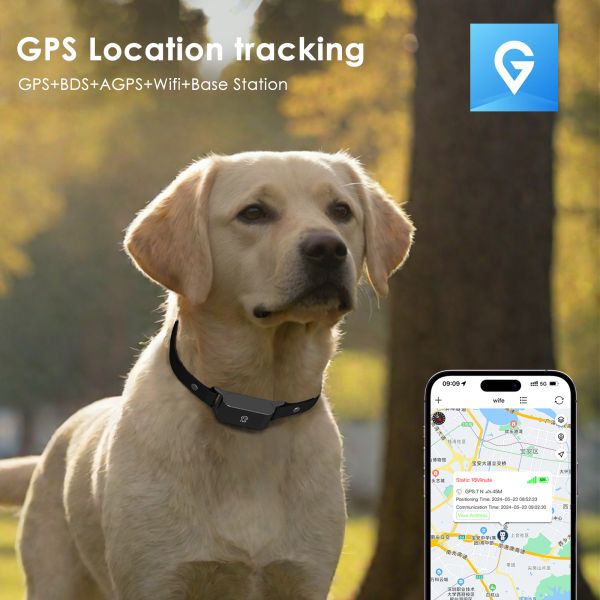New Arrival Real-Time GPS Pet Tracker 4G Smart Collar App for Cats Dogs IPx6 Waterproof >20h Battery Voice Calls Compatible