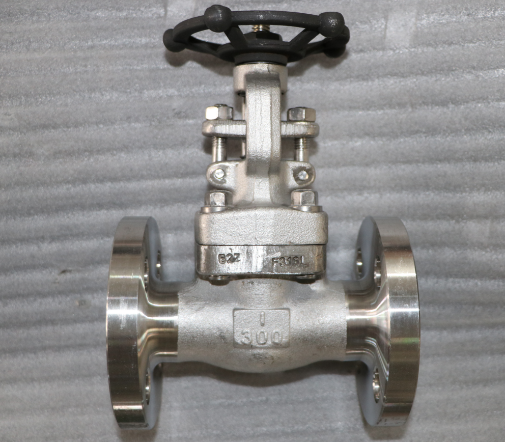 100mm a bridé les soupapes à vanne industrielles d'Odm de partie plate