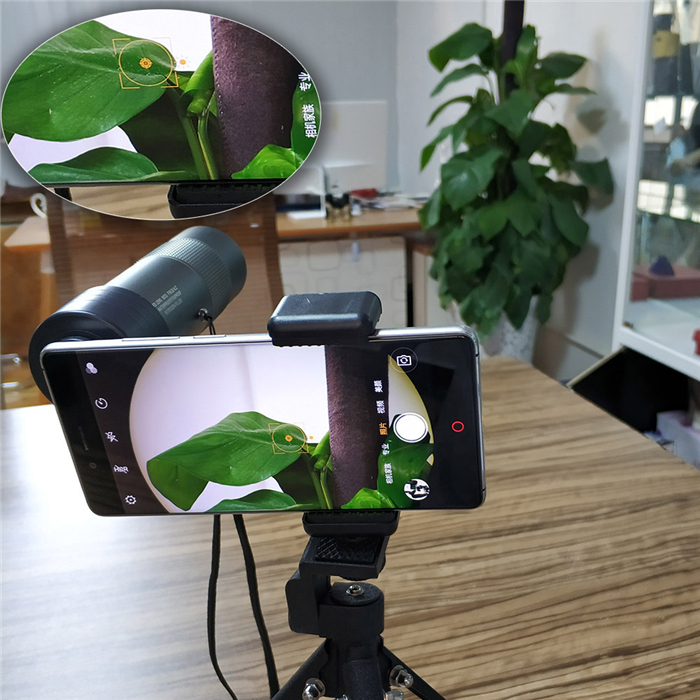 Телескоп объектива водоустойчивого сотового телефона Monocular 8x33 серебряный ED стеклянный для взрослых