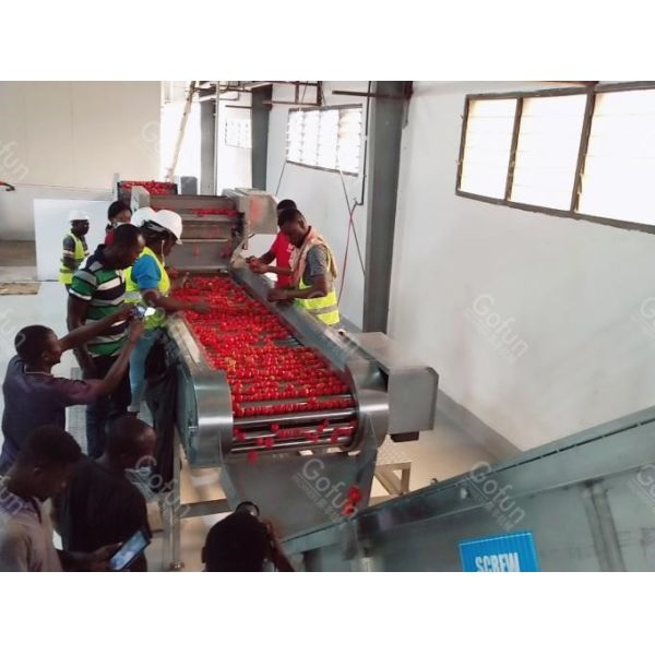SUS304 Industrial Automatic Tomato Processing Line For Paste Making