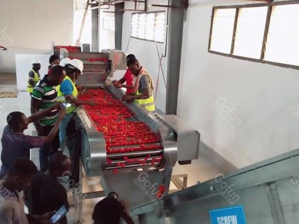Customized Large-capacity Fully Automatic Tomato Sauce Production Line For Food Processing Companies
