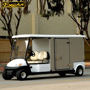 48V Food And Beverage Golf Cart 5KW Electric Motor 4000 * 1200 * 1900 MM