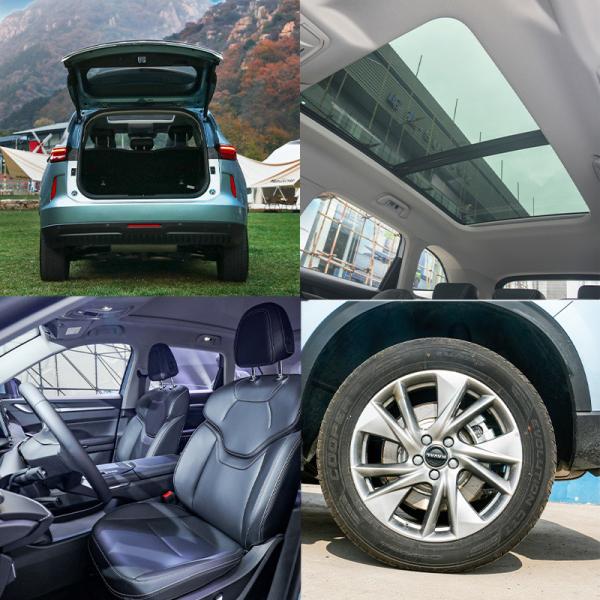2022 2023 Haval H6 Ev Car High Speed Phev Hybrid Gwm Electric Car Motor power 177Ps Maximum torque Nm 530 H7 H9 Phev