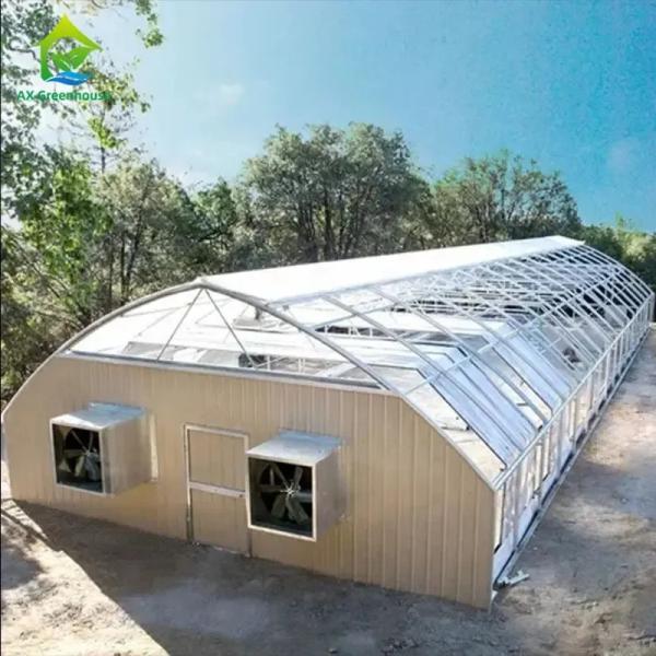 Mushroom Growing Blackout Light Deprivation Greenhouse Agricultural Green House