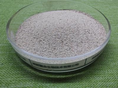 Produção de leite orgânica da saúde da fertilidade de Trace Minerals For Cattle Improve de gado