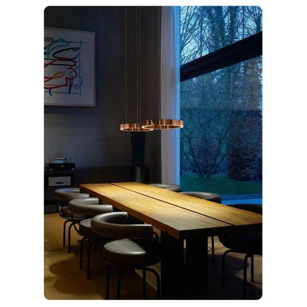 Mito sospeso chandelier Nordic Led Dimmable ring light staircase lamp (WH-NC-134)