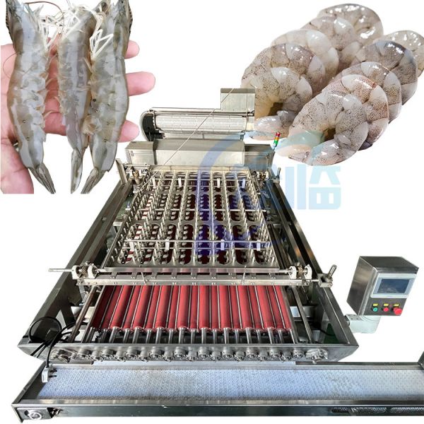 Machine à éplucher les crevettes stable ISO séparateur de coquille multi