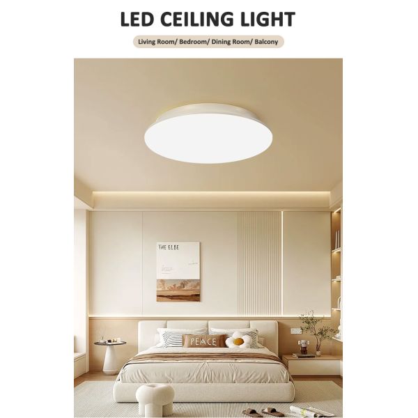IP65 Waterproof Dimmable LED Ceiling Light with Emergency Function for Outdoor and Indoor Use