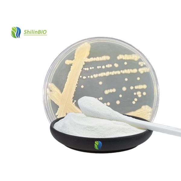 Factory Supply Food Grade CAS 9057-02-7 99% Raw Materials Pullulan Powder Thickeners 