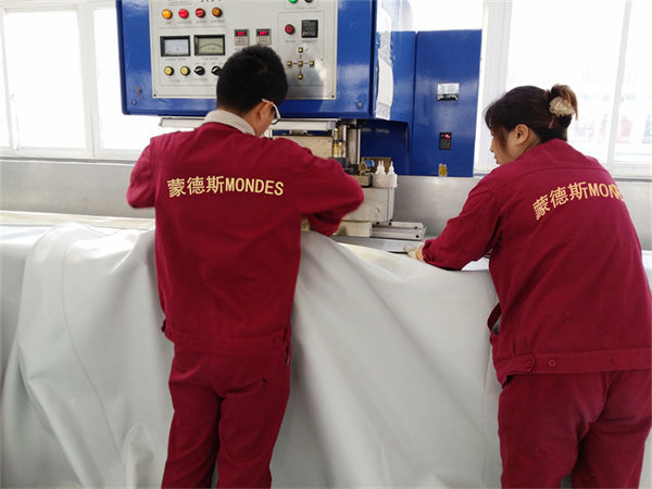 Sichuan Mondes Green Technology Co.,Ltd