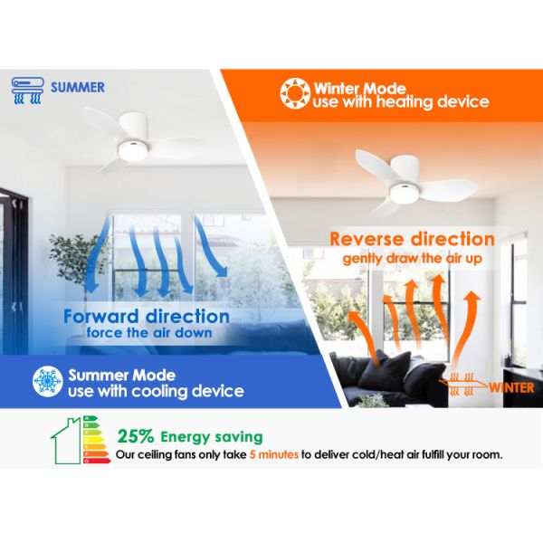 Pequeno Espaço Grande Impacto 36 