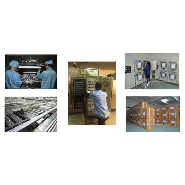 AR Coating Polycarbonate Eyeglass Lenses For Outdoor Activities Clear Color