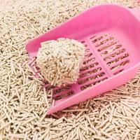 ODM Tofu basura de gato sin polvo Té verde sin olor basura de gato personalizada