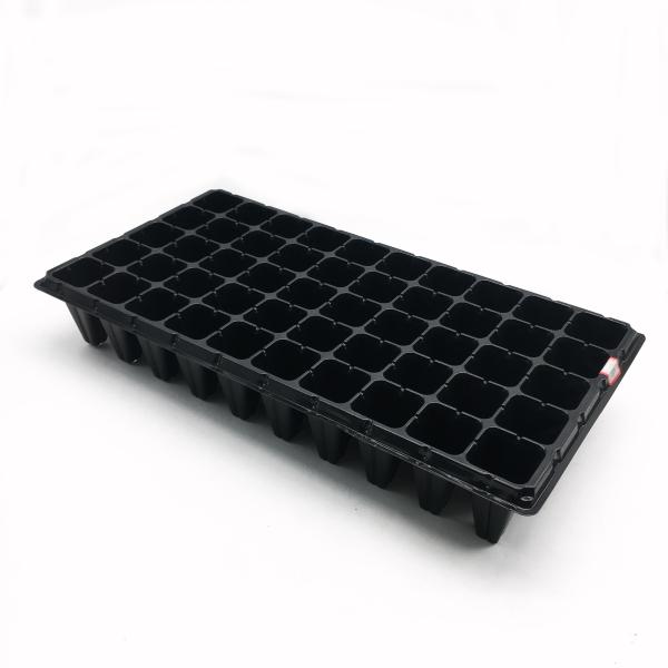 50 holes high quality forest seedling tray big cell size