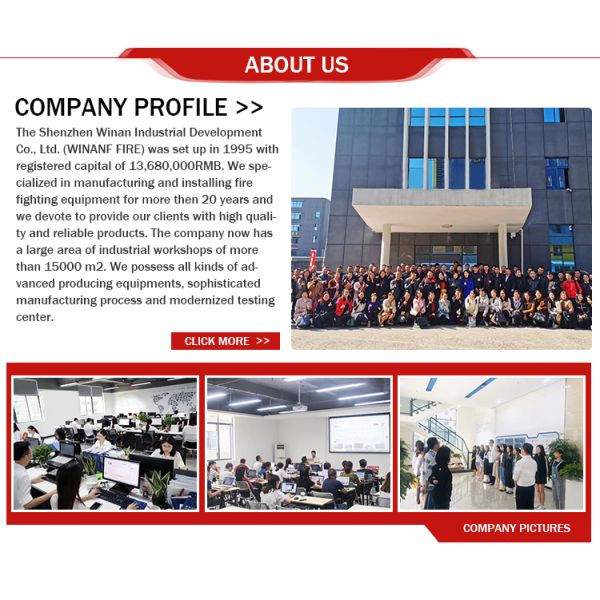 ANSI Flange DN100 Carbon Steel 0.5 MPa Fire Water Cannon