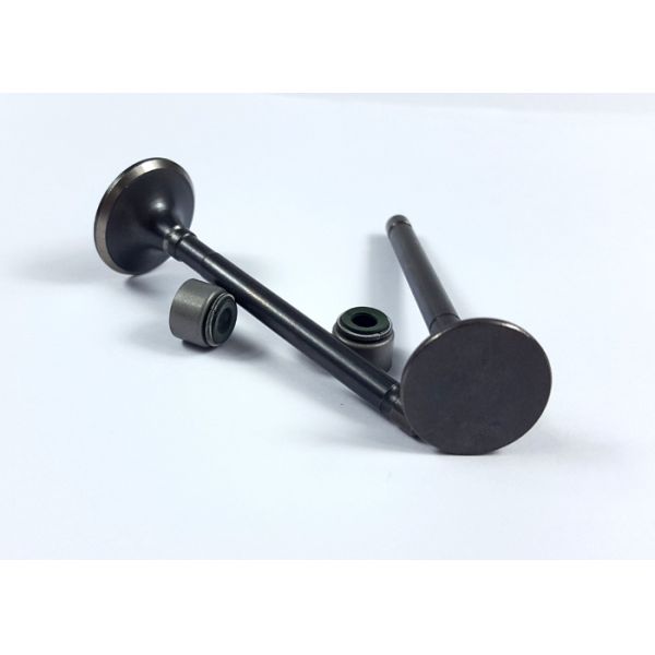 Precision Steel Motorcycle Engine Exhaust Valve BAJAJ With Valve Oil Seal