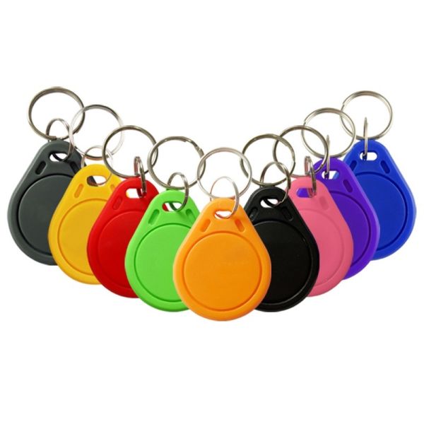 Custom Printing 125kHz Frequency Waterproof RFID Keyfob for Hotel and Access