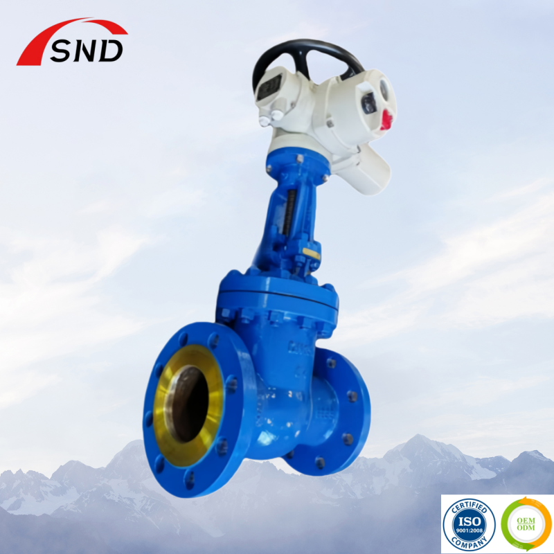 GOST Design Standard Full Port Gate Valve with Spray Painting Finish Delivering Superior Durability and Smooth Operation