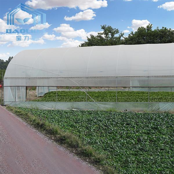 Tomato Poly Greenhouse Agricultural Tunnel Plastic Greenhouse For Drip Irrigation Equipment