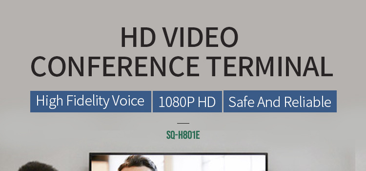 ACE SQ-H801E High Definition Video Conference Terminal 1080p60 Dual Channel