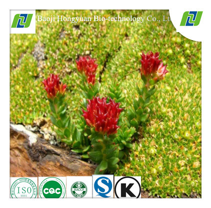 Rhodiola P.E. Salidroside3%