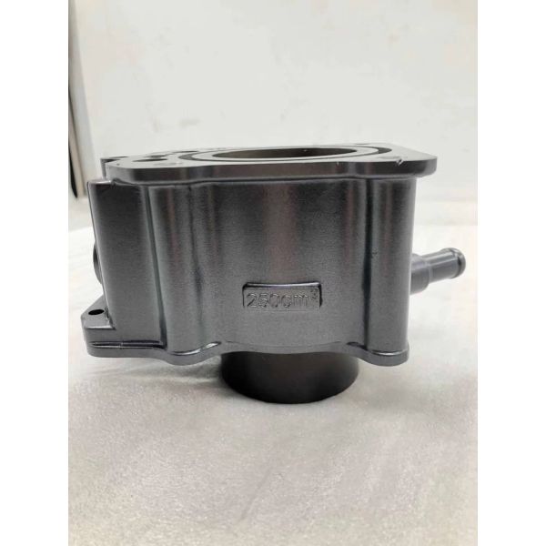 Pièces détachées pour moteur de moto, tête de cylindre complète pour moteur à essence DAYANG CG250