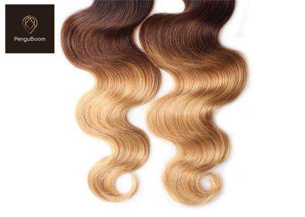 1b 4 27 BW Colored Human Hair Bundles