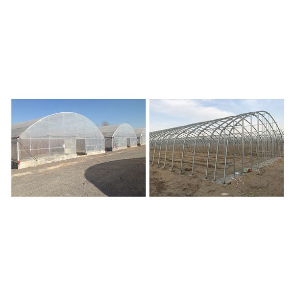 Plastic Shed Winter Tomato Greenhouse for Crops Width Defined by Area