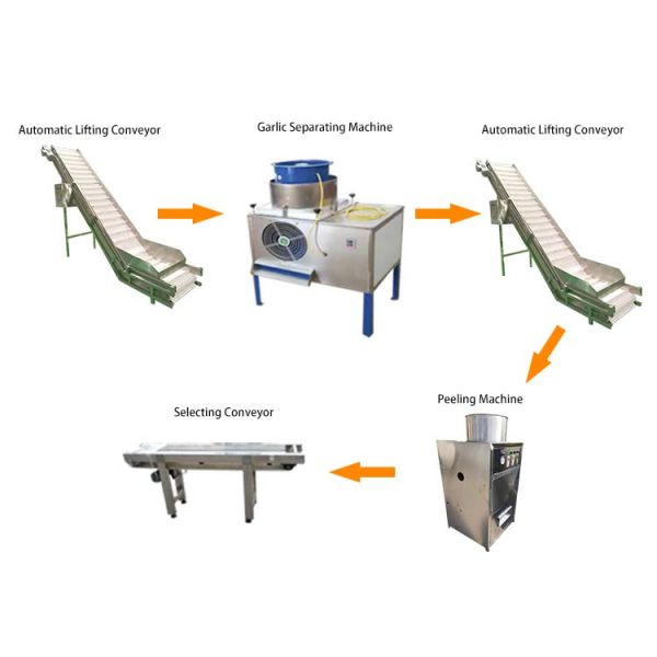 Industrial Automatic garlic peeling machine production line garlic processing machines