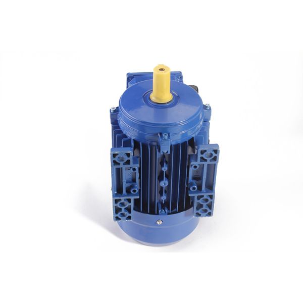 8 Poles Electric 3 Phase Induction Motor Aluminum 10 HP For Clean Machine