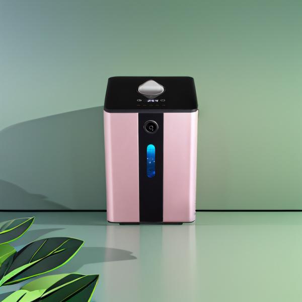La machine à respirer à l' hydrogène PEM Turbo réduit l' inflammation 150 ml