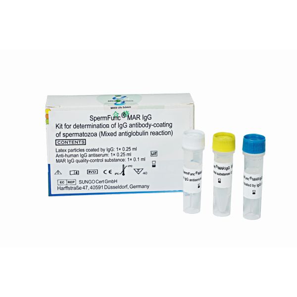 Выявление антител к сперматозоидам IgG (метод MAR)