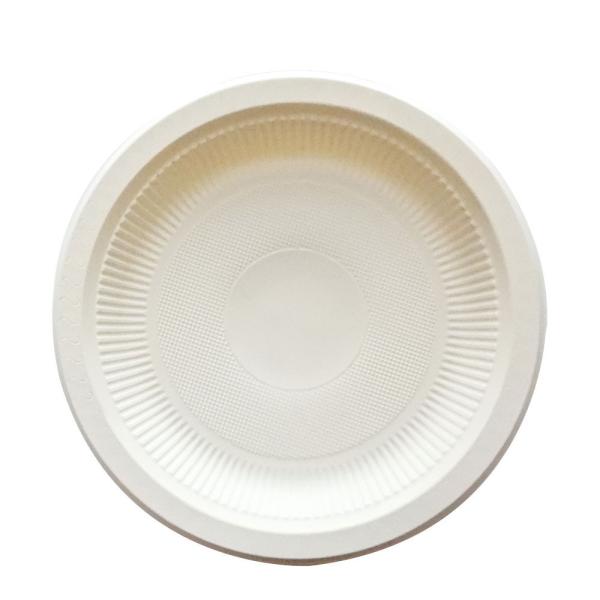 Audit ISO 9001 Certified Disposable Plates and Cutlery for Sustainable Celebrations