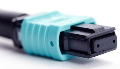 Noyau de la couleur 8 d'Aqua/12 dénoyautages/24 connecteurs optiques de la corde de correction de la fibre MPO/MTP de noyau/MPO