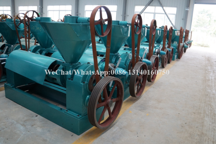 машина извлечения масла дерева ши машины обработки гаек 80-125kg/H автоматическая