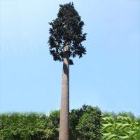 les 10m ont déguisé la tour camouflée par arbre bionique de cellules