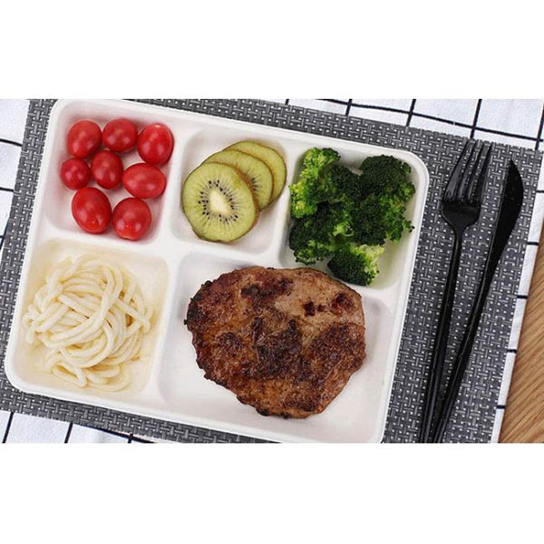 Bagasse Biodegradable Food Trays