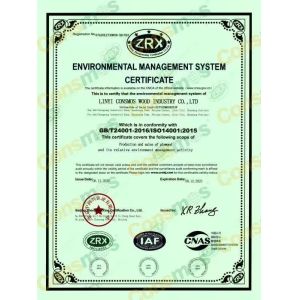 Dongguan Lingfeng Wood Industry Co., Ltd. Certificações